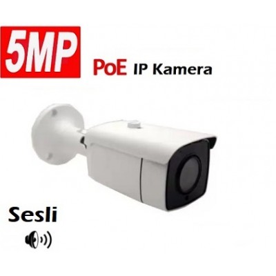 5 MP IP SESLİ DIŞ MEKAN IP GÜVENLİK KAMERASI IC-420