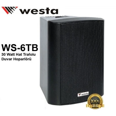Westa WS-6TB 30 Watt Hat Trafolu Duvar Hoparlörü